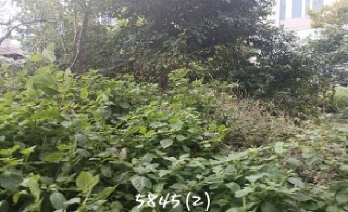 부산 해운대구 우동 대지 경매 물건 사진 2 · 2025타경5845