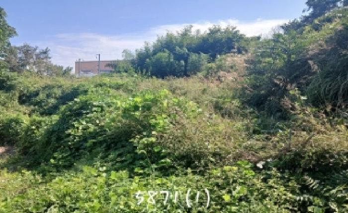 부산 기장군 일광읍 대지,임야,전답 경매 물건 사진