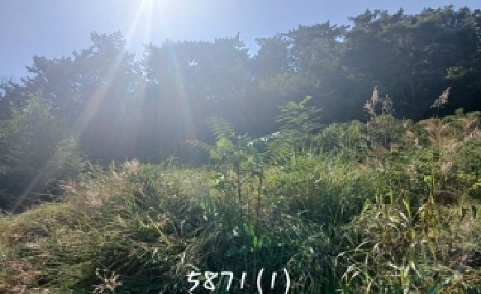 부산 기장군 일광읍 대지,임야,전답 경매 물건 사진 2 · 2025타경5871