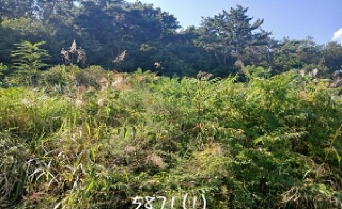 부산 기장군 일광읍 대지,임야,전답 경매 물건 사진 3 · 2025타경5871