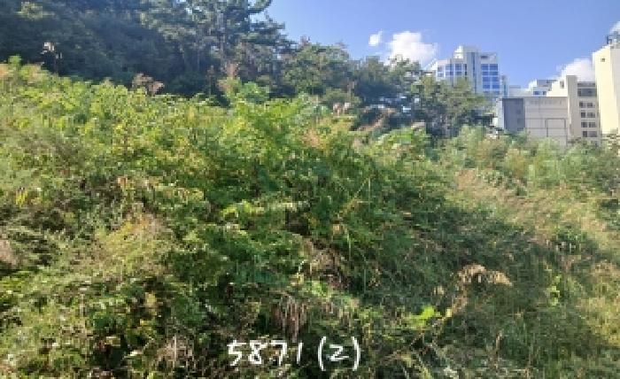 부산 기장군 일광읍 대지,임야,전답 경매 물건 사진 4 · 2025타경5871