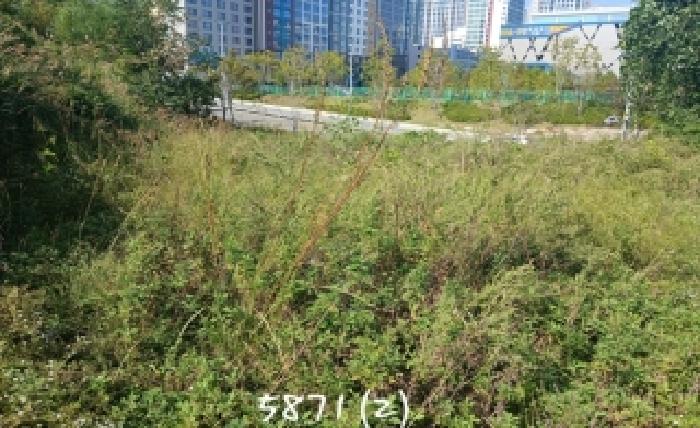 부산 기장군 일광읍 대지,임야,전답 경매 물건 사진 5 · 2025타경5871