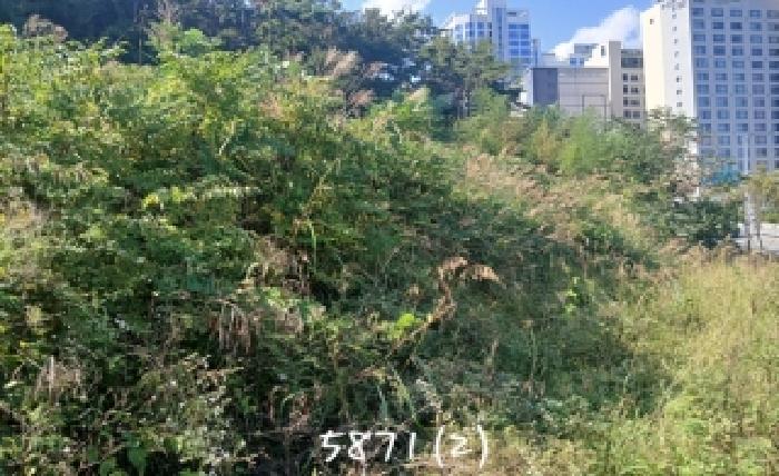 부산 기장군 일광읍 대지,임야,전답 경매 물건 사진 6 · 2025타경5871