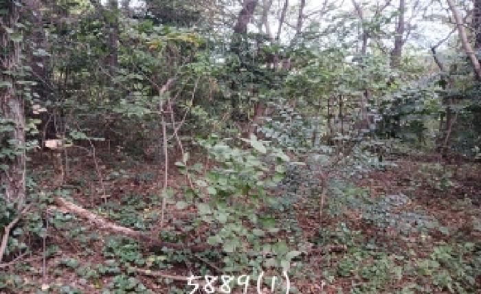 부산 기장군 기장읍 임야 경매 물건 사진 2 · 2025타경5889