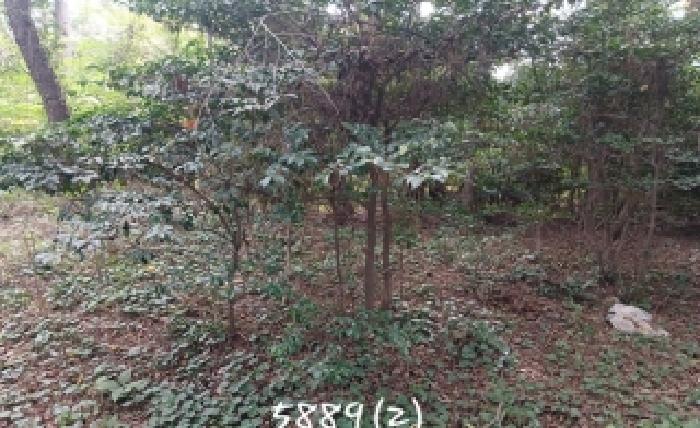 부산 기장군 기장읍 임야 경매 물건 사진 3 · 2025타경5889