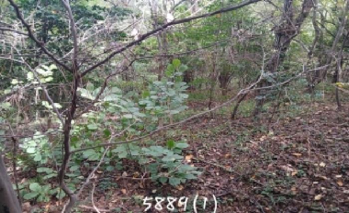 부산 기장군 기장읍 임야 경매 물건 사진 4 · 2025타경5889