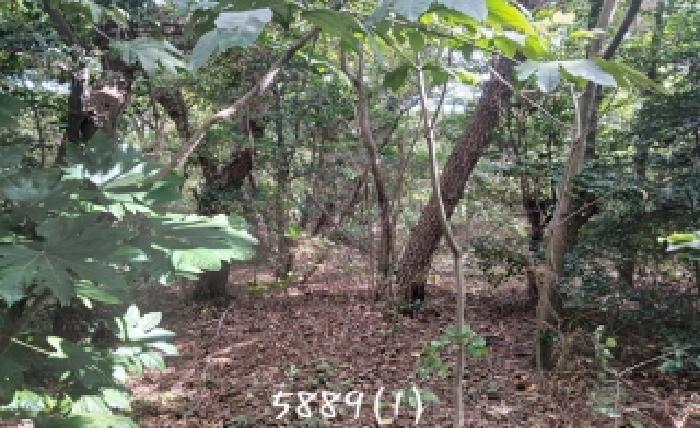 부산 기장군 기장읍 임야 경매 물건 사진 5 · 2025타경5889