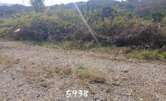 부산 기장군 장안읍 임야 경매 물건 사진