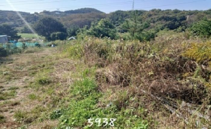 부산 기장군 장안읍 임야 경매 물건 사진 2 · 2025타경5938