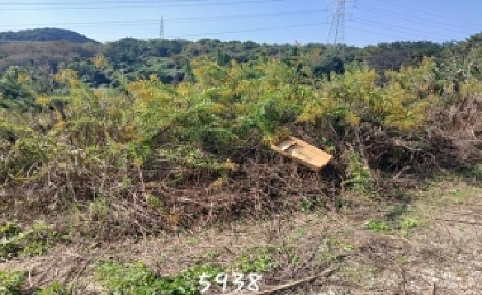 부산 기장군 장안읍 임야 경매 물건 사진 4 · 2025타경5938