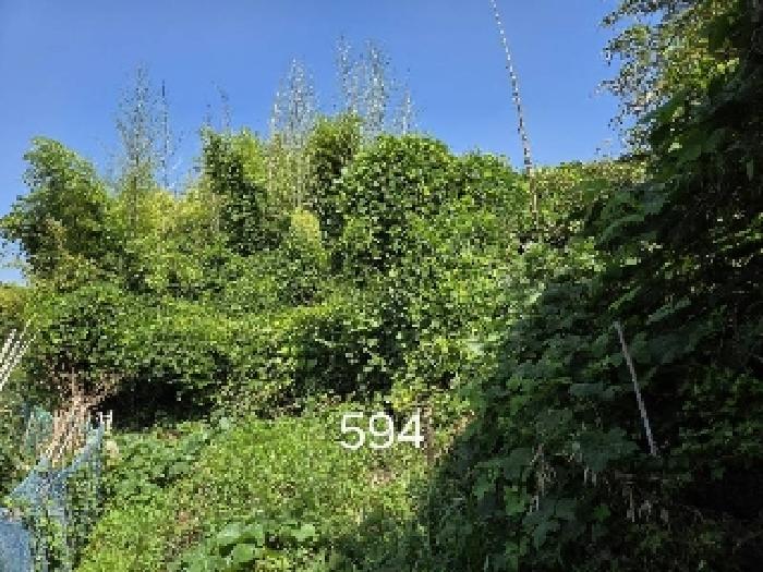 부산 기장군 철마면 임야 경매 물건 사진 2 · 2025타경594
