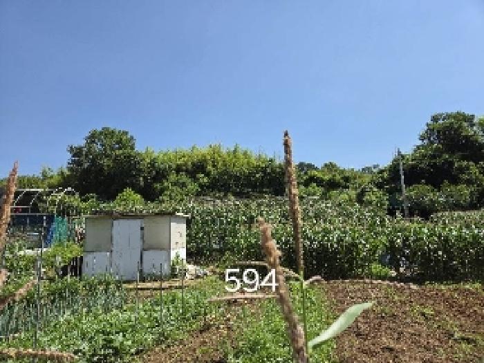 부산 기장군 철마면 임야 경매 물건 사진 5 · 2025타경594