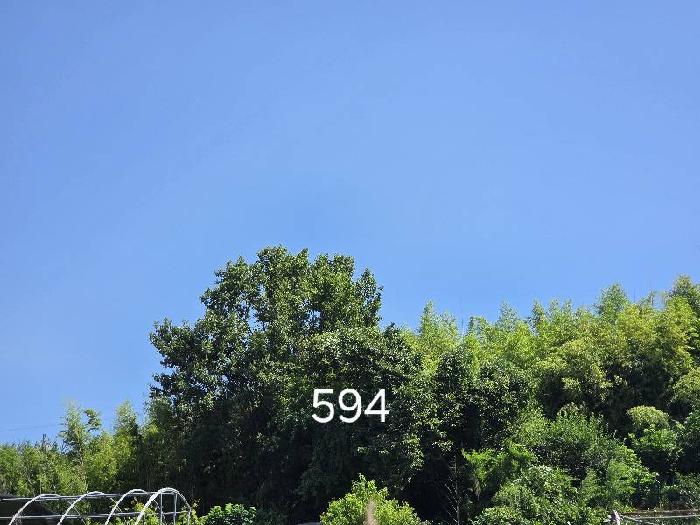부산 기장군 철마면 임야 경매 물건 사진 6 · 2025타경594