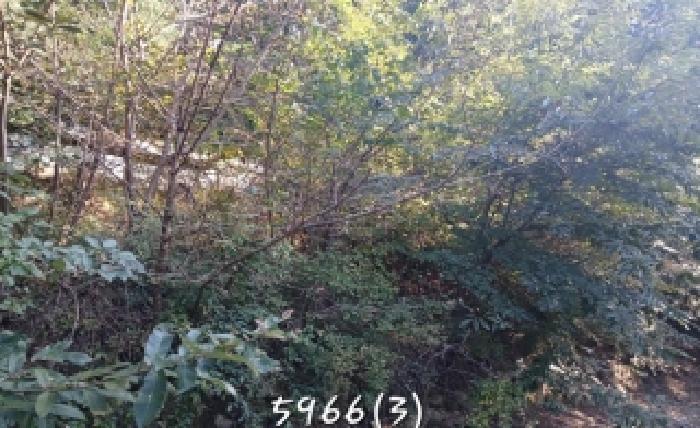 부산 기장군 장안읍 전답 경매 물건 사진