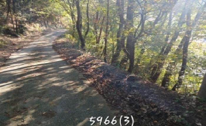 부산 기장군 장안읍 전답 경매 물건 사진 2 · 2025타경5966