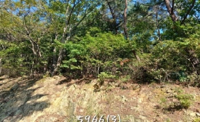부산 기장군 장안읍 전답 경매 물건 사진 4 · 2025타경5966
