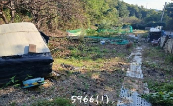 부산 기장군 장안읍 전답 경매 물건 사진 5 · 2025타경5966