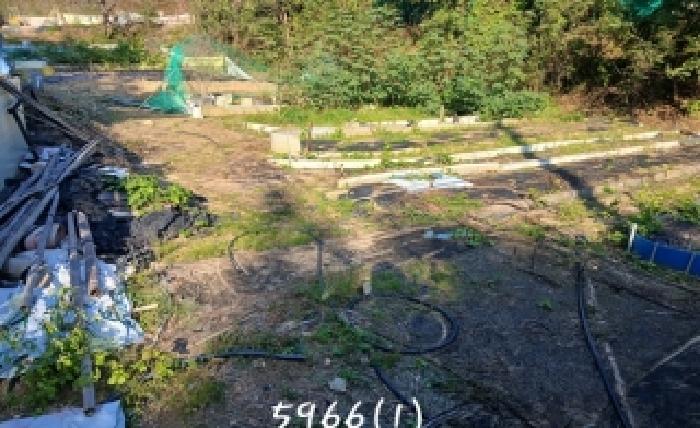 부산 기장군 장안읍 전답 경매 물건 사진 6 · 2025타경5966