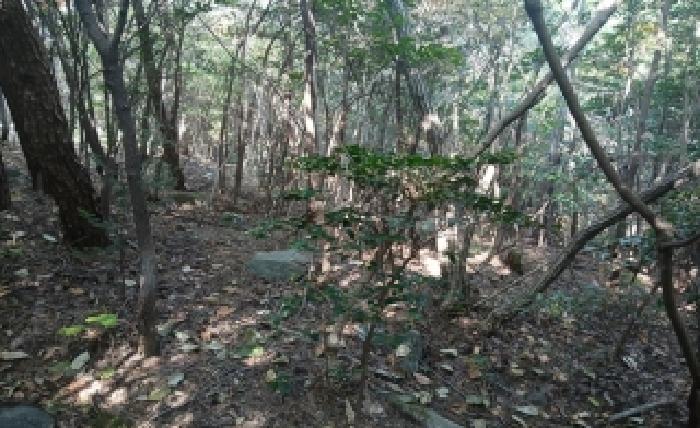 부산 해운대구 좌동 임야 경매 물건 사진 2 · 2025타경5967