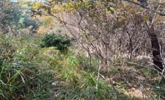 부산 해운대구 좌동 임야 경매 물건 사진 3 · 2025타경5967