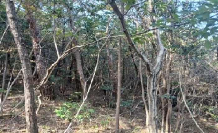 부산 해운대구 좌동 임야 경매 물건 사진 4 · 2025타경5967