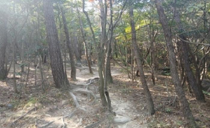 부산 해운대구 좌동 임야 경매 물건 사진 5 · 2025타경5967