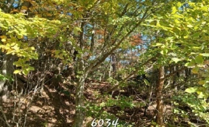 부산 기장군 일광읍 임야 경매 물건 사진