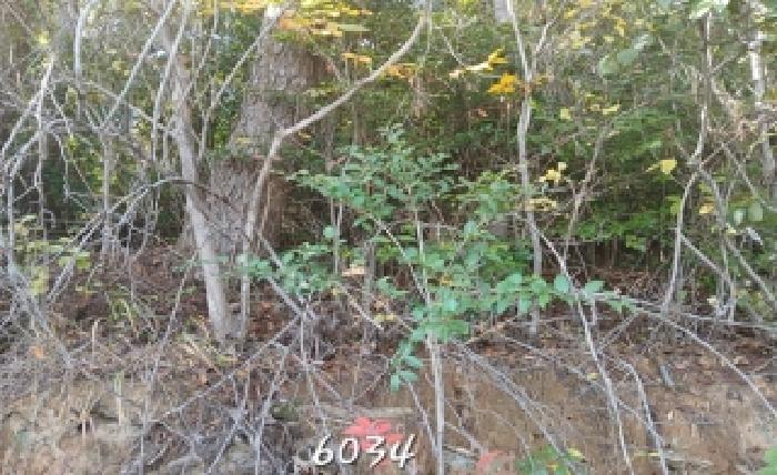 부산 기장군 일광읍 임야 경매 물건 사진 2 · 2025타경6034