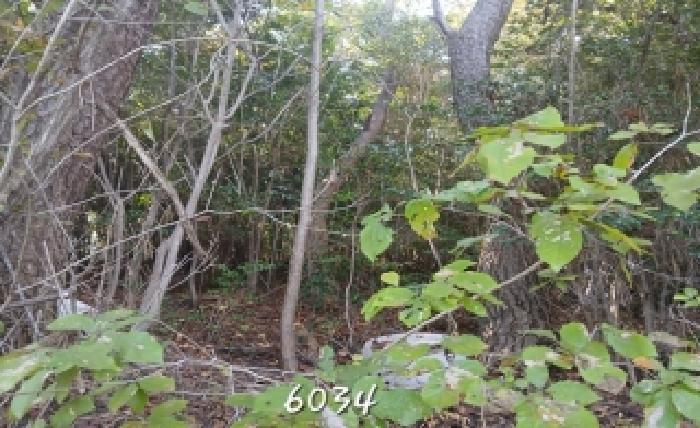 부산 기장군 일광읍 임야 경매 물건 사진 3 · 2025타경6034