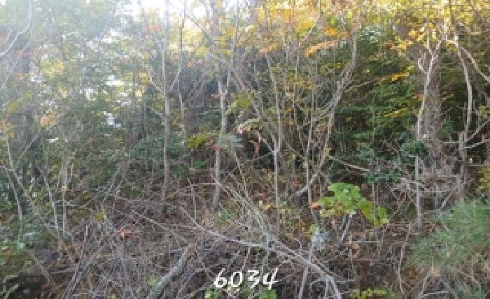 부산 기장군 일광읍 임야 경매 물건 사진 4 · 2025타경6034
