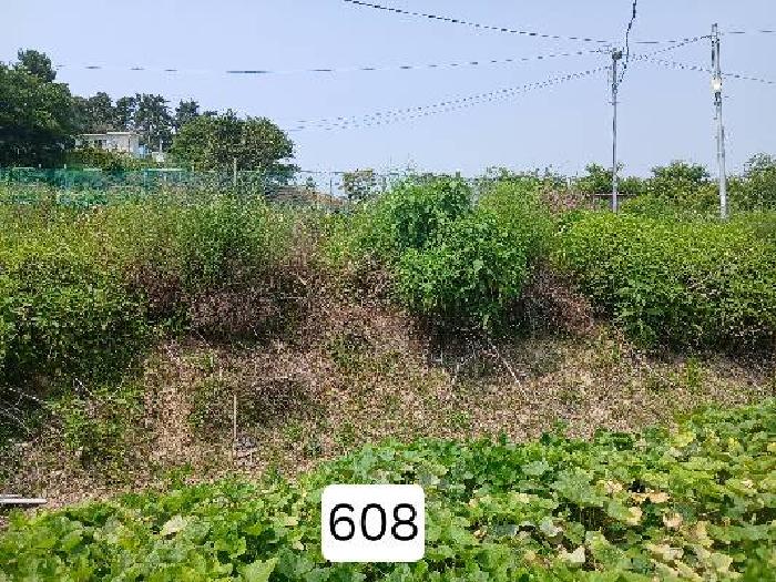 부산 기장군 장안읍 답 경매 물건 사진 2 · 2025타경608