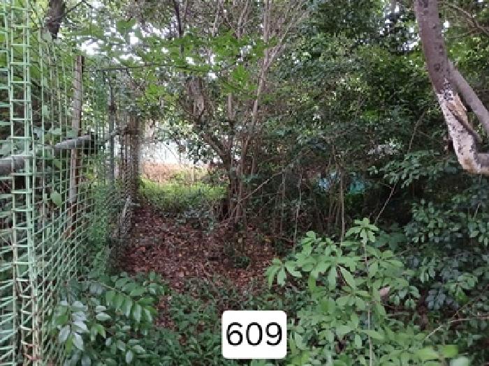 부산 기장군 장안읍 임야 경매 물건 사진 3 · 2025타경609