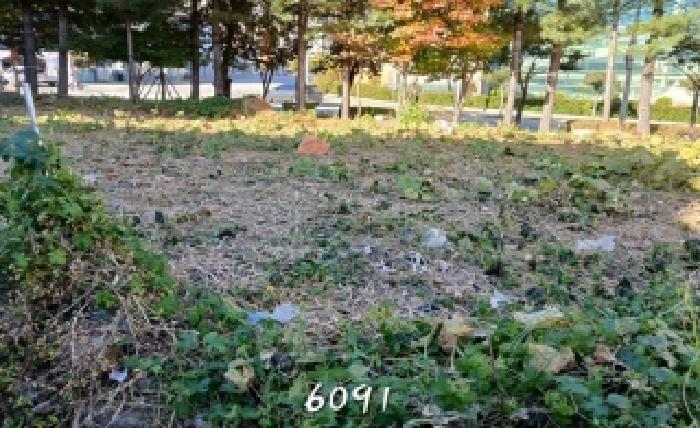 부산 기장군 정관읍 대지 경매 물건 사진