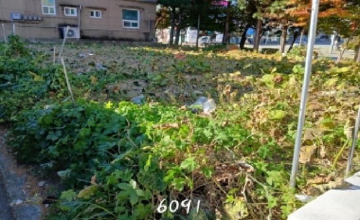 부산 기장군 정관읍 대지 경매 물건 사진 2 · 2025타경6091