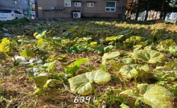 부산 기장군 정관읍 대지 경매 물건 사진 3 · 2025타경6091