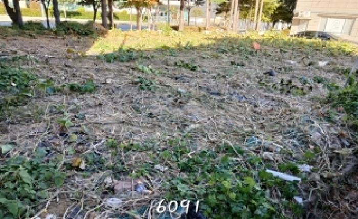 부산 기장군 정관읍 대지 경매 물건 사진 4 · 2025타경6091
