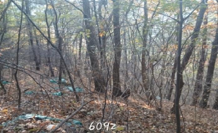 부산 기장군 철마면 대지,임야,전답 경매 물건 사진 2 · 2025타경6092