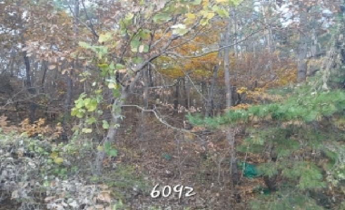 부산 기장군 철마면 대지,임야,전답 경매 물건 사진 3 · 2025타경6092