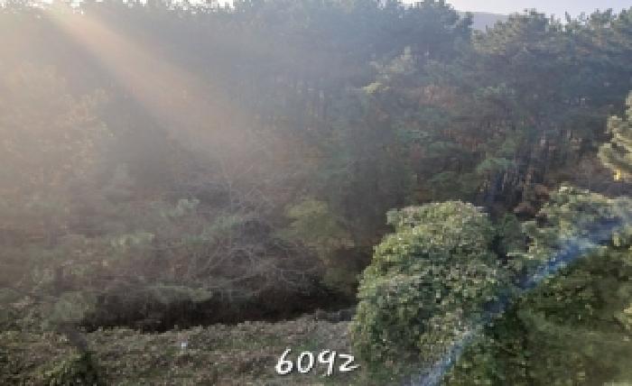 부산 기장군 철마면 대지,임야,전답 경매 물건 사진 4 · 2025타경6092