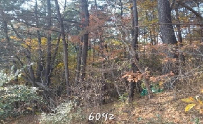 부산 기장군 철마면 대지,임야,전답 경매 물건 사진 5 · 2025타경6092