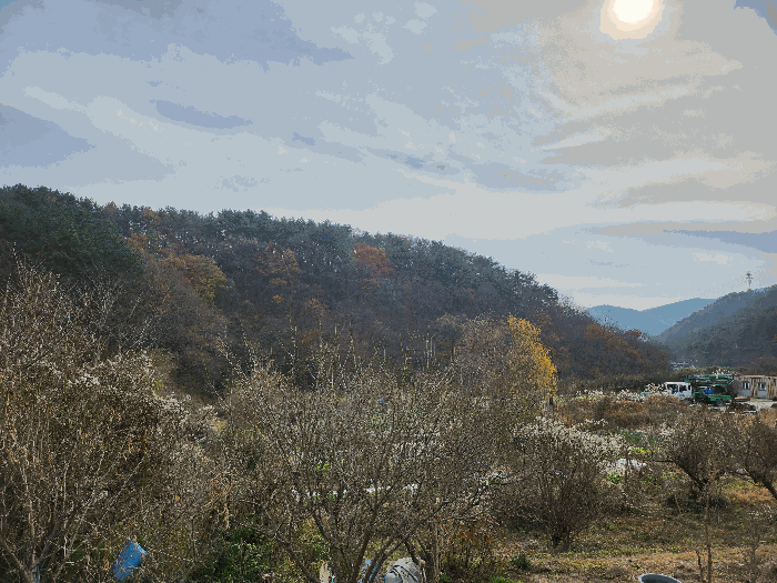 부산 기장군 철마면 대지,임야,전답 경매 물건 사진 6 · 2025타경6092