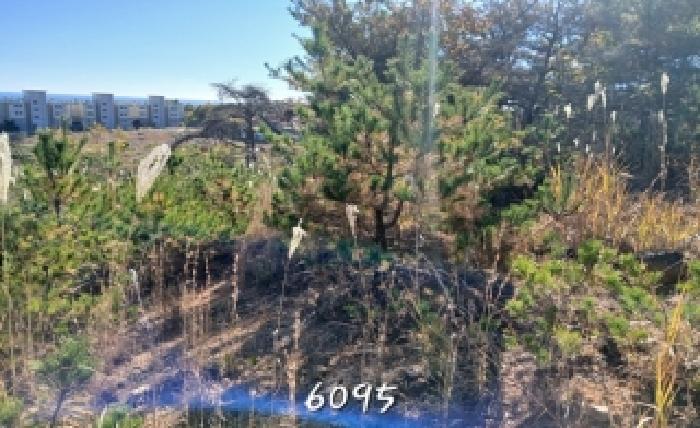 부산 기장군 장안읍 임야 경매 물건 사진 2 · 2025타경6095