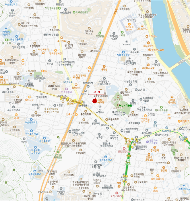 부산 수영구 수영동 연립주택,다세대,빌라 경매 물건 사진 3 · 2025타경629