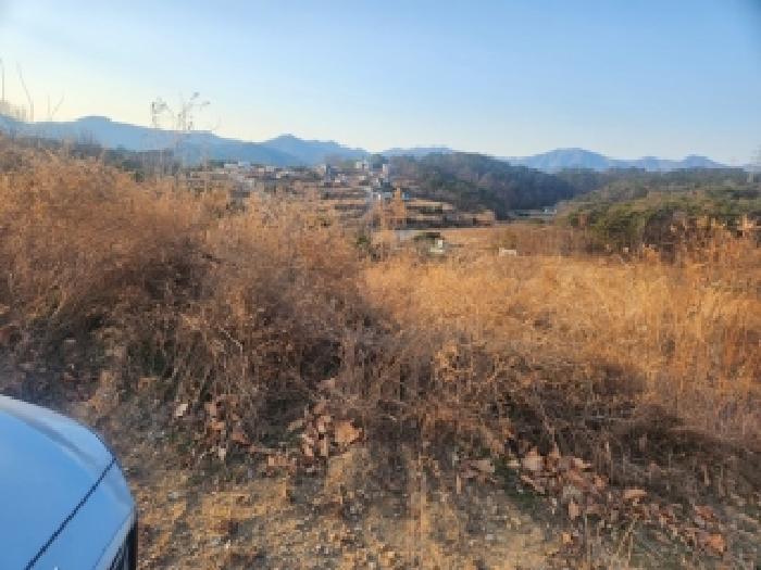 부산 기장군 장안읍 과수원 경매 물건 사진 3 · 2025타경6311