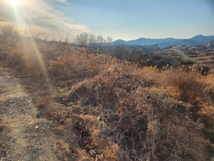 부산 기장군 장안읍 과수원 경매 물건 사진 4 · 2025타경6311