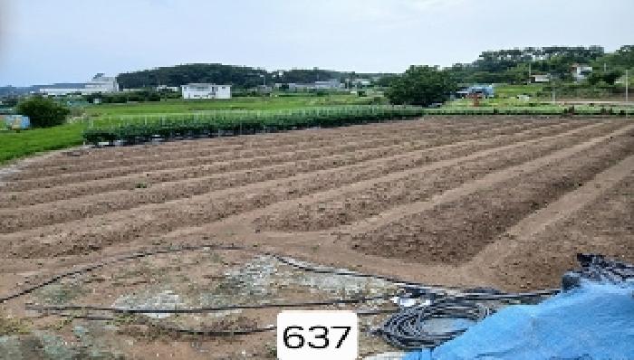 부산 기장군 일광읍 답 경매 물건 사진