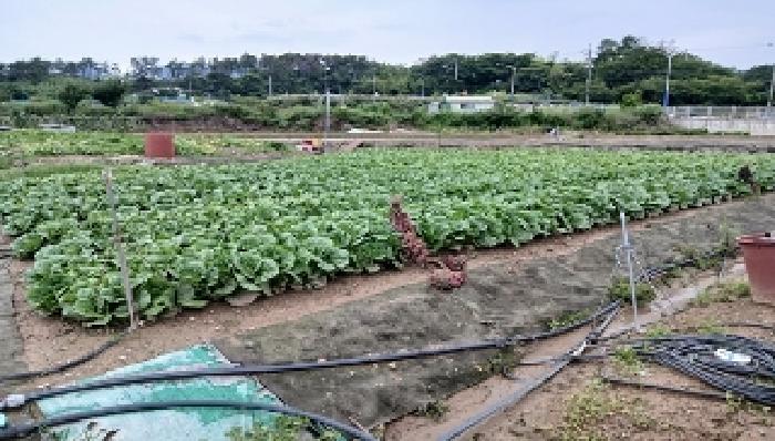 부산 기장군 일광읍 답 경매 물건 사진 2 · 2025타경637