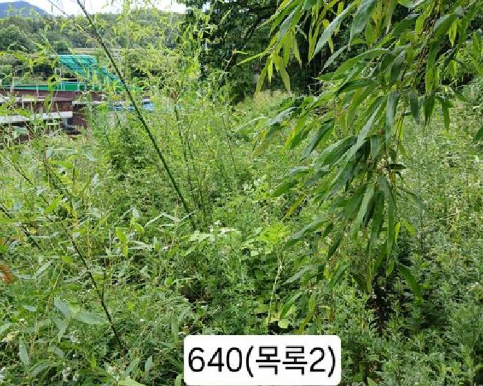 부산 기장군 정관읍 대지 경매 물건 사진 3 · 2025타경640