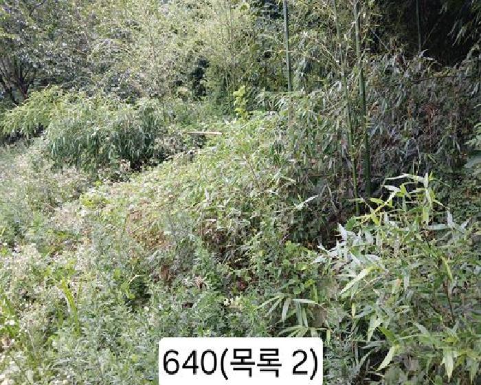 부산 기장군 정관읍 대지 경매 물건 사진 4 · 2025타경640