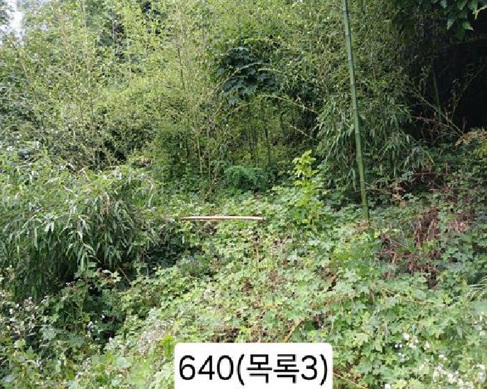 부산 기장군 정관읍 대지 경매 물건 사진 5 · 2025타경640